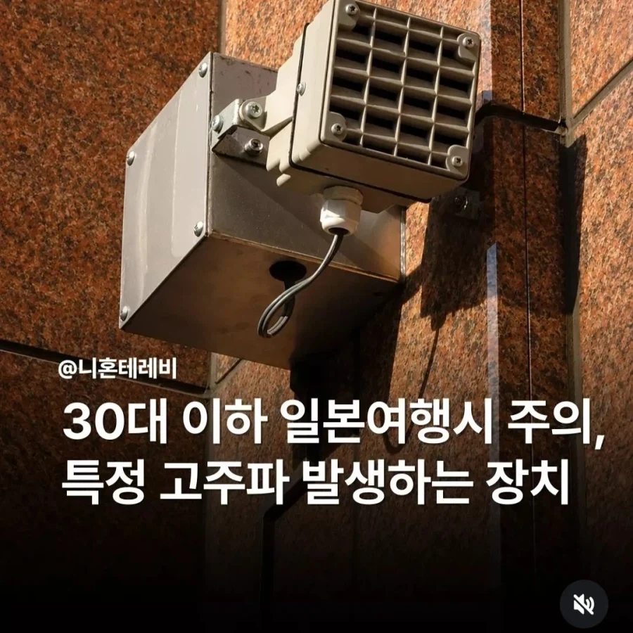 일본의 MZ 디스트로이어_1.webp