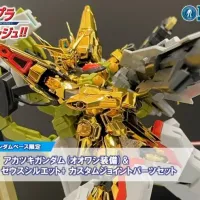 RG 아카츠키 & 제우스 실루엣 세트 샘플 소개 영상 (고관절 관련)