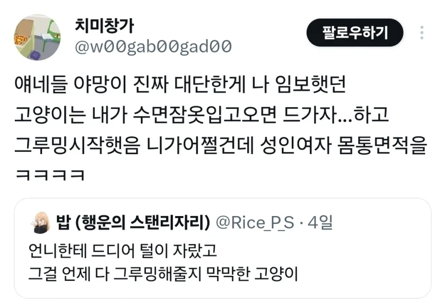 과도한 업무량에 얼굴로 욕하는 고양이_2.webp