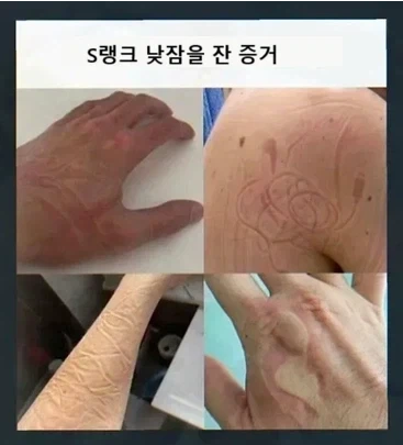 S랭크 낮잠을 잔 증거.jpg_1.webp