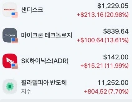 반도체 레버리지 청산당하면 천불날듯..._1.webp
