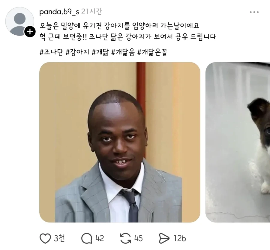 유기견 입양하러 갔더니 조나단이 있었다_1.webp