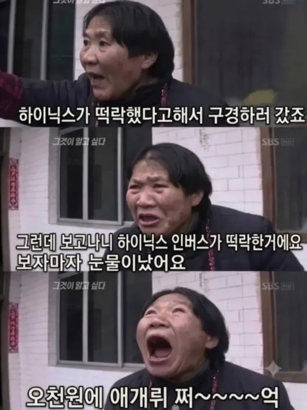 주식)하이닉스 종토방에 올라온짤ㅋㅋㅋ_1.webp