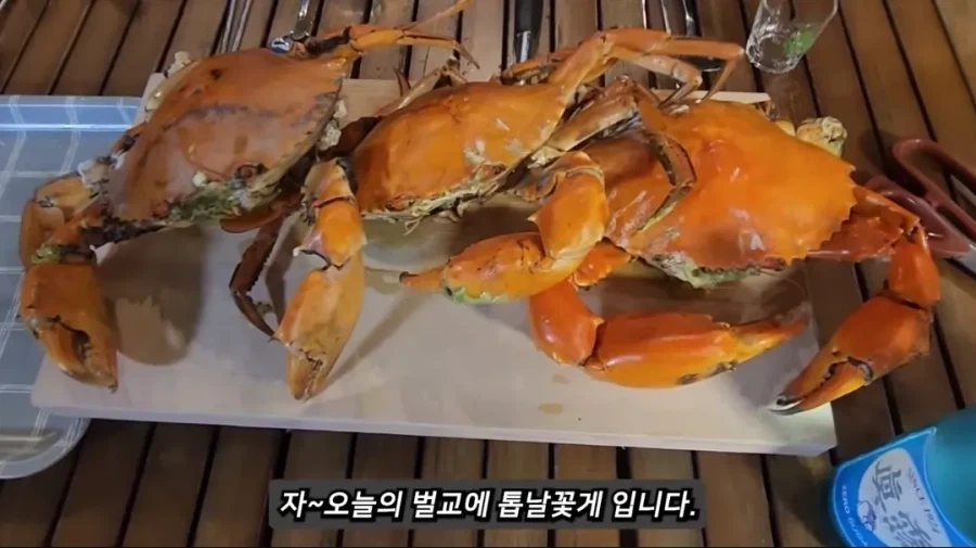 전라도에도 침입하기 시작한 외래종_2.webp