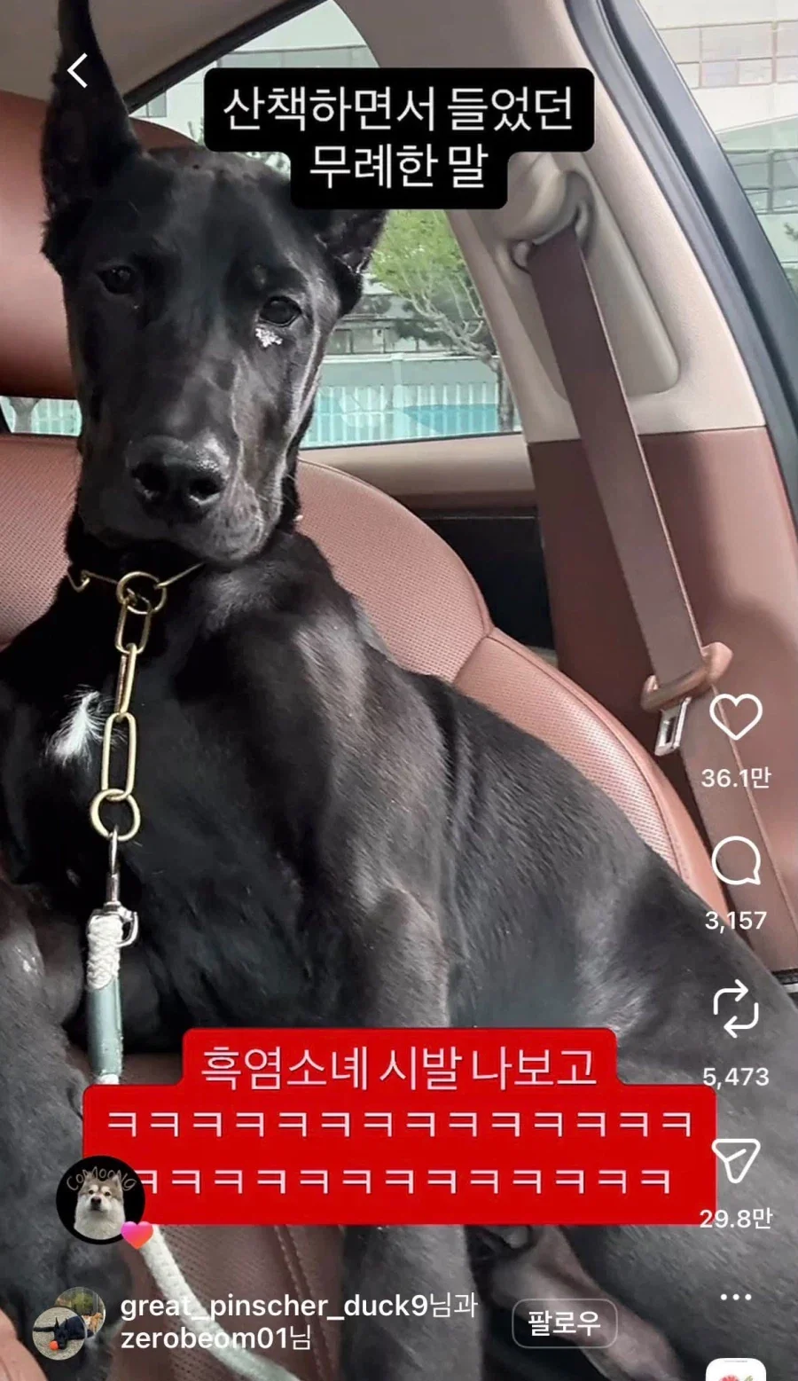 산책하면서 들었던 무례한 말_1.webp