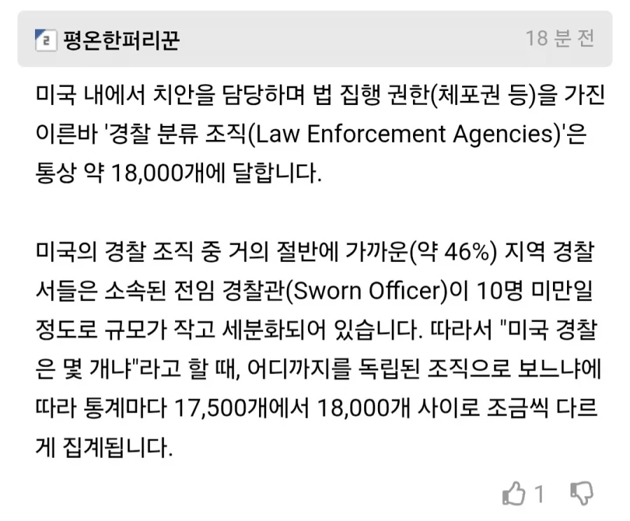 경찰 조직이 한두개가 아니라는 미국.jpg_2.webp