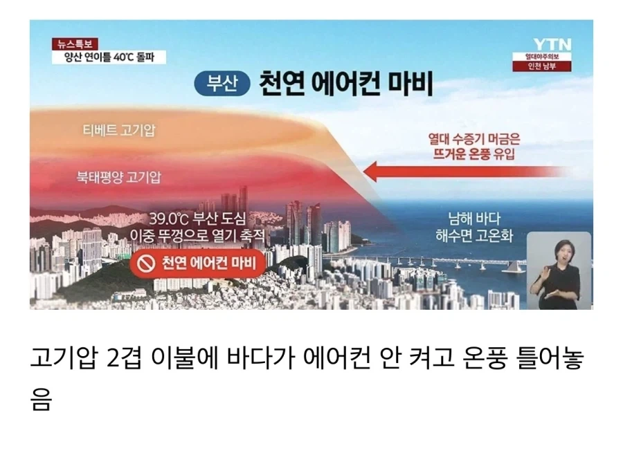 부산이 지금 다른 지역보다 더운 이유.jpg_1.webp