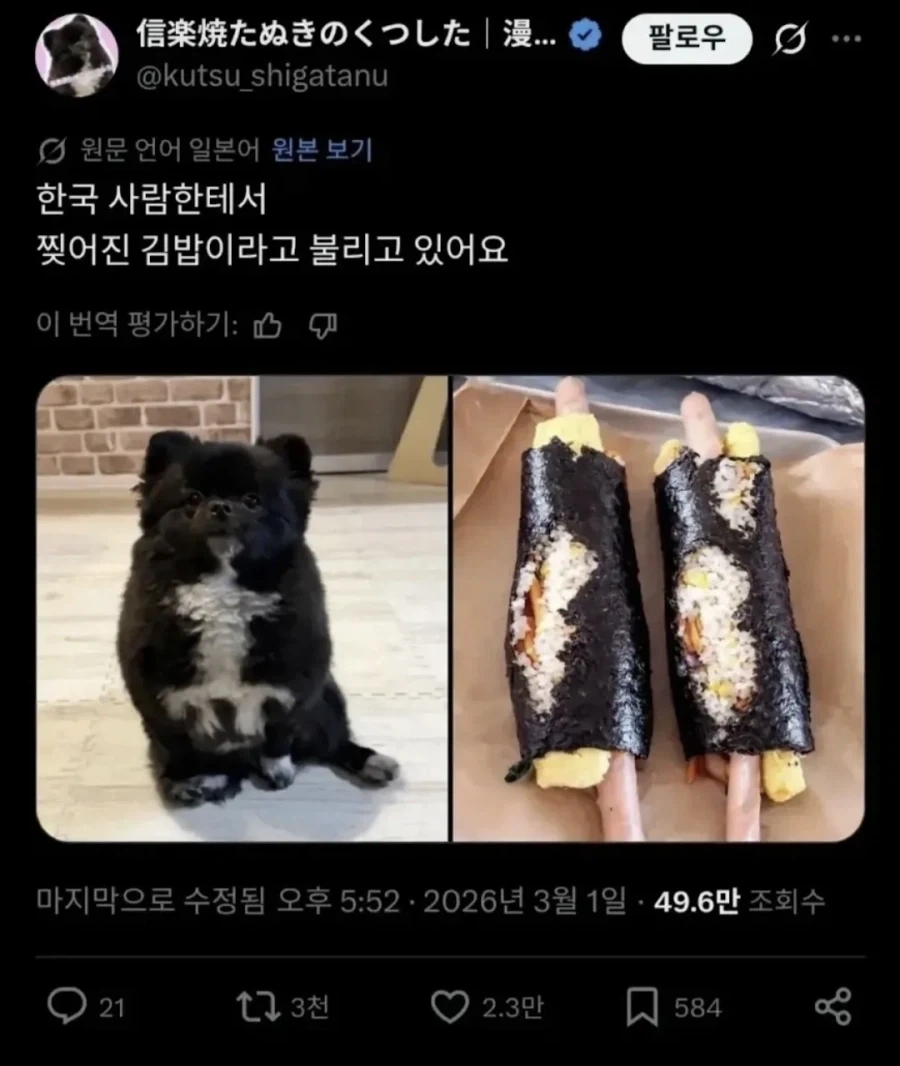 뭔가 그럴싸한 별명이 붙여진 강아지_1.webp