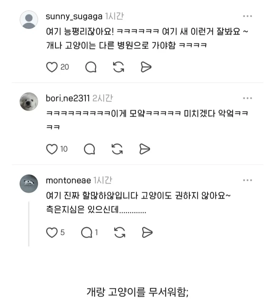 개 고양이 무서워하는 동물병원 의사..._2.webp
