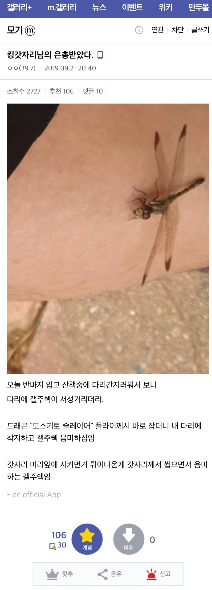 드래곤의 등장에 감동한 디시인들.jpg_1.webp