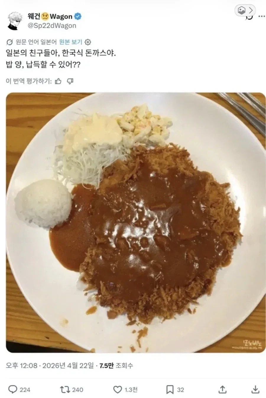 돈까스 원조국에서도 이해할수 없는 한국식 돈까스.jpg_1.webp