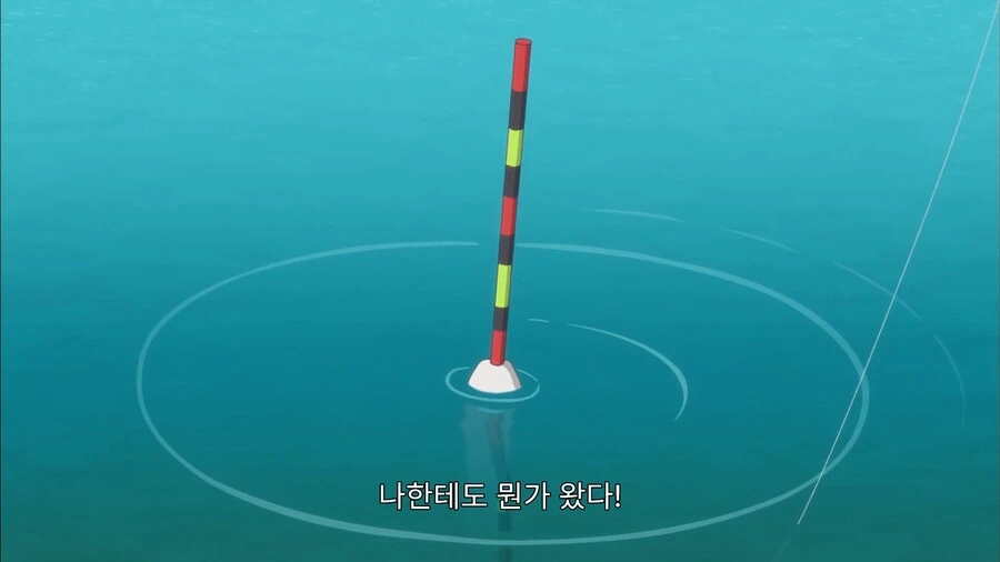 낚시꾼이 싫어하는 물고기_1.jpg