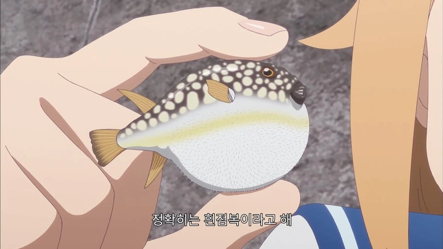 낚시꾼이 싫어하는 물고기_3.jpg