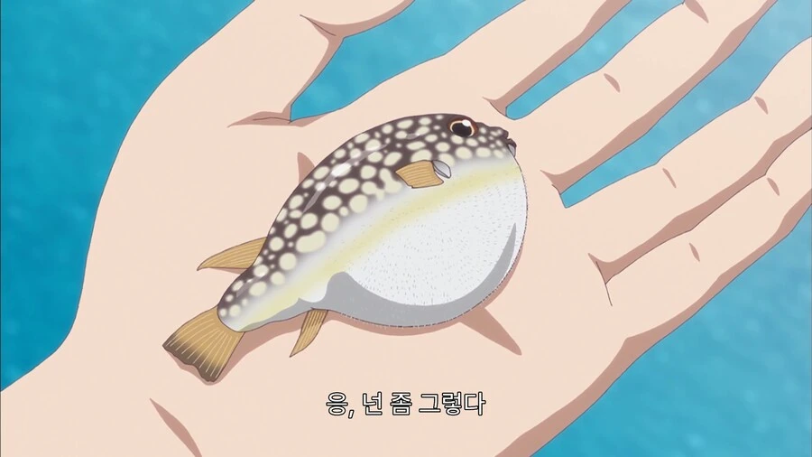 낚시꾼이 싫어하는 물고기_14.jpg