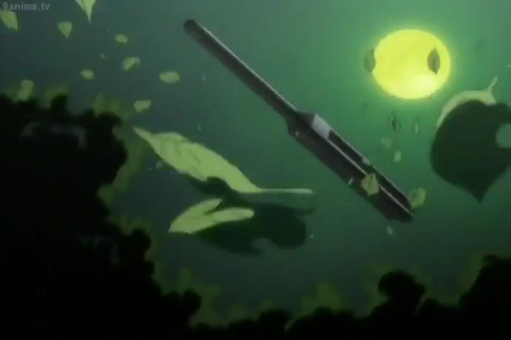 videoplayback_22.mp4_002204.914.jpg
