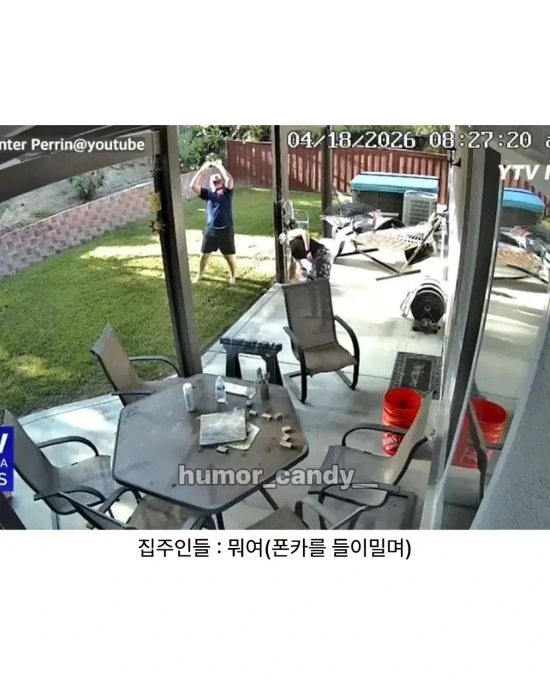 우리집 마당에 모르는 사람 13명이 들어옴_2.webp