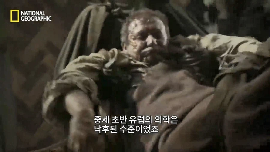 의외로 일개 예언자가 아니었던 노스트라다무스.jpg_2.webp