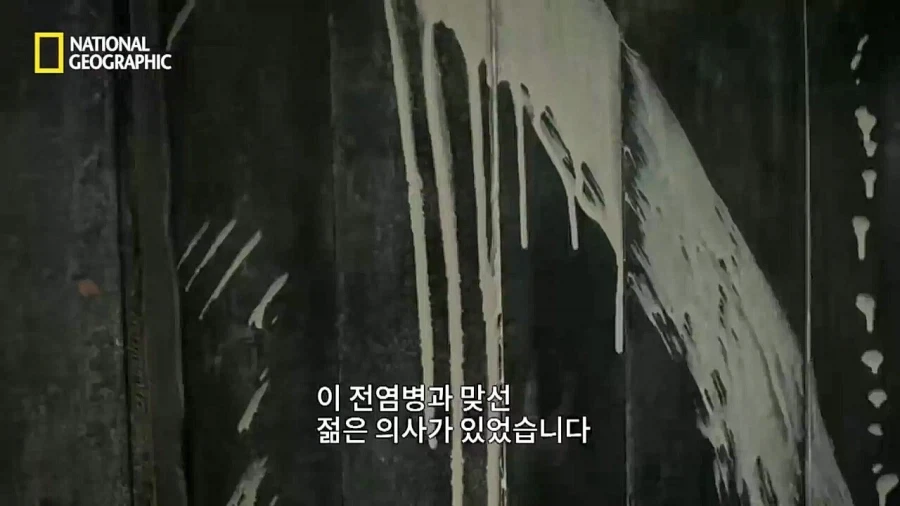 의외로 일개 예언자가 아니었던 노스트라다무스.jpg_7.webp