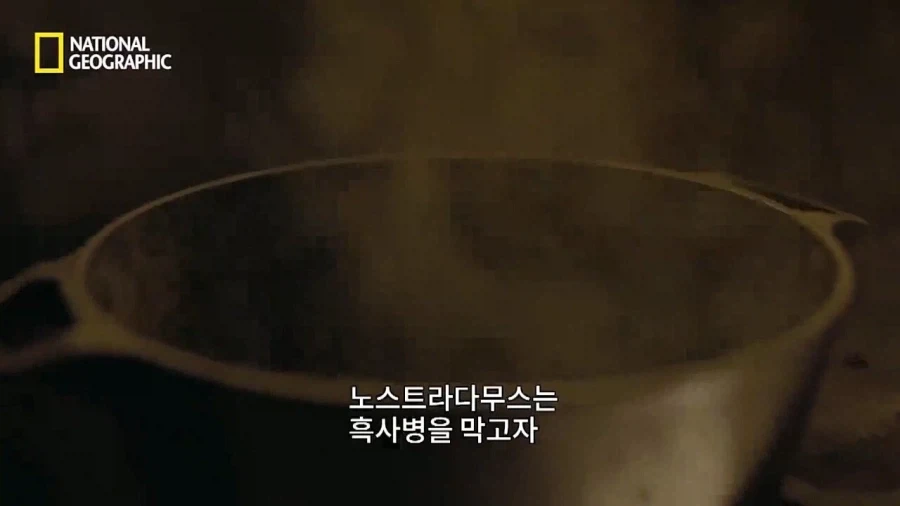 의외로 일개 예언자가 아니었던 노스트라다무스.jpg_13.webp