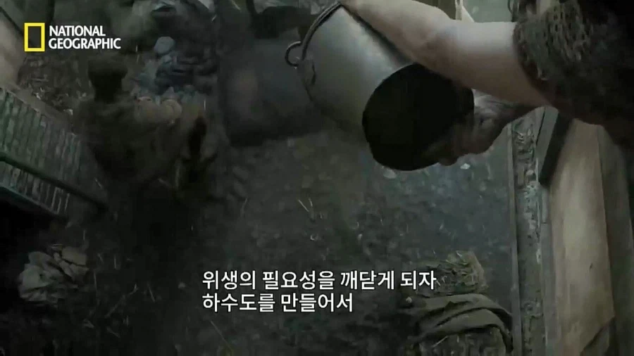 의외로 일개 예언자가 아니었던 노스트라다무스.jpg_17.webp