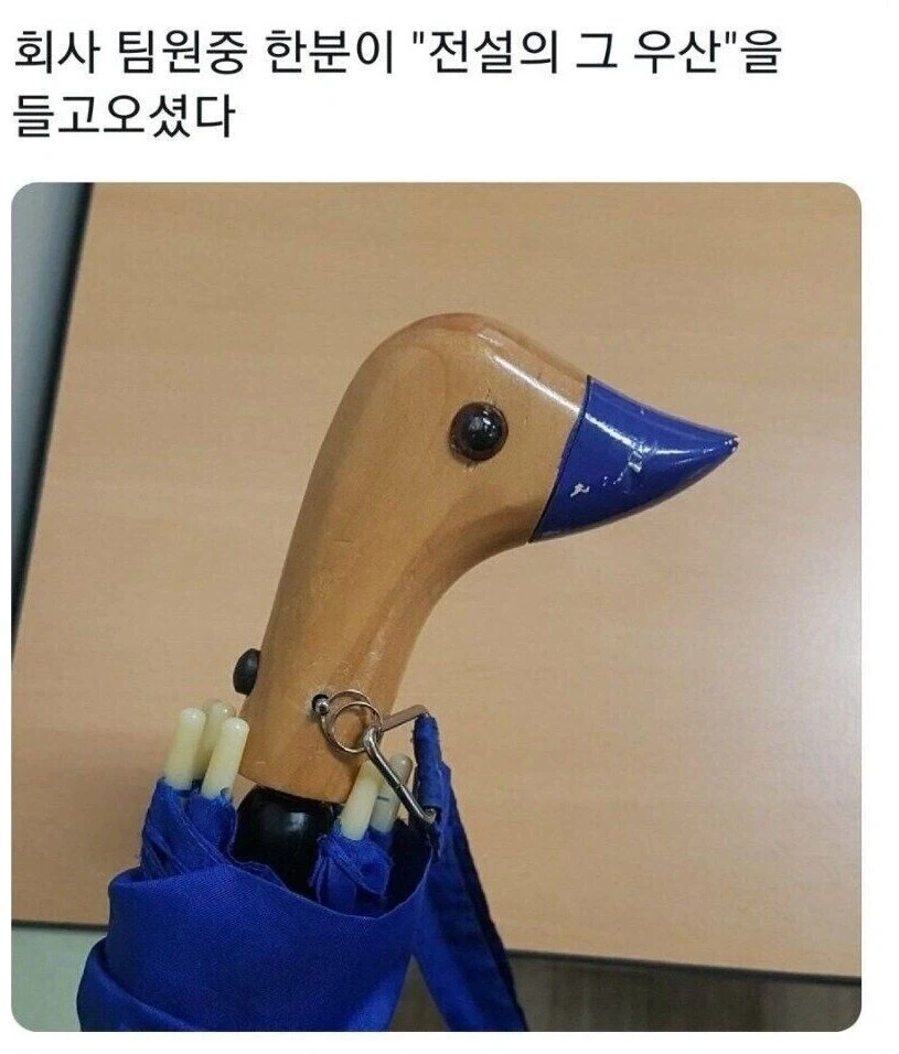 이거 아는 사람 전부 대장내시경 받으러 가라는 짤_1.webp