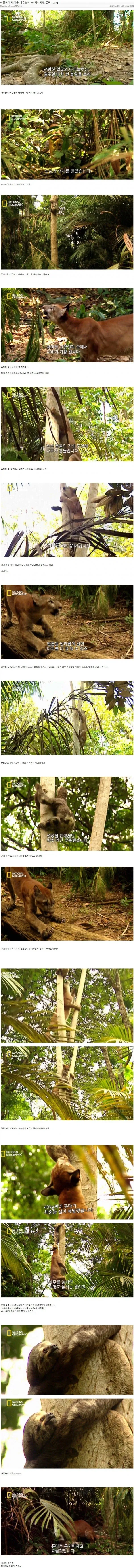 똥싸다 사망.jpg_1.webp
