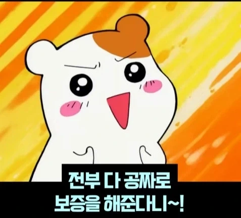 우리만 모르는 현대 자동차의 이점_4.webp