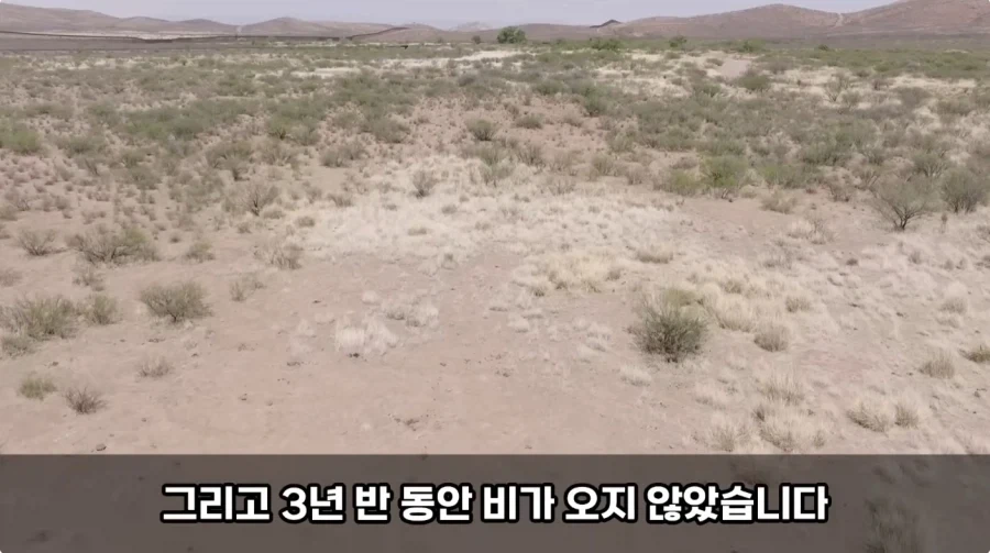 그 시절 사막신의 타 종교지역 정복방법_16.webp