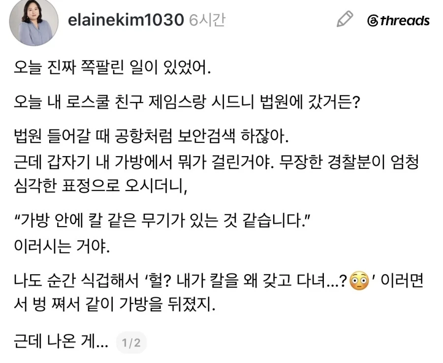 미국법원에서 무장경찰한테 걸린 이유.jpg_1.webp