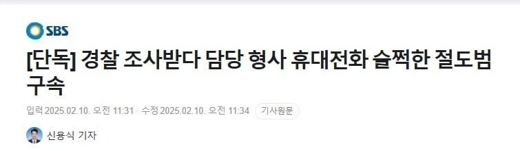 인정할수밖에 없는 진짜배기 절도범_1.webp