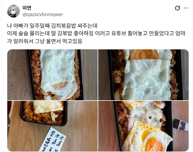 김치볶음밥 도시락 싸주는 아빠.jpg_1.webp