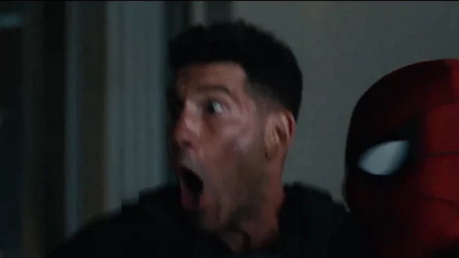 MCU 적도 인정하는 퍼니셔의 방식_1.webp