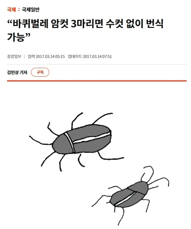 아앗, 수컷이 되어버렷~~!_1.webp