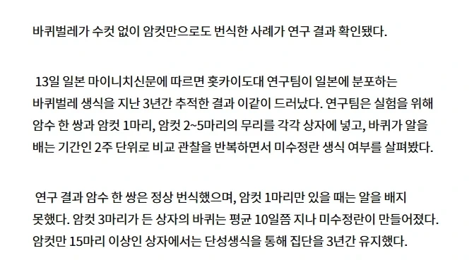 아앗, 수컷이 되어버렷~~!_2.webp