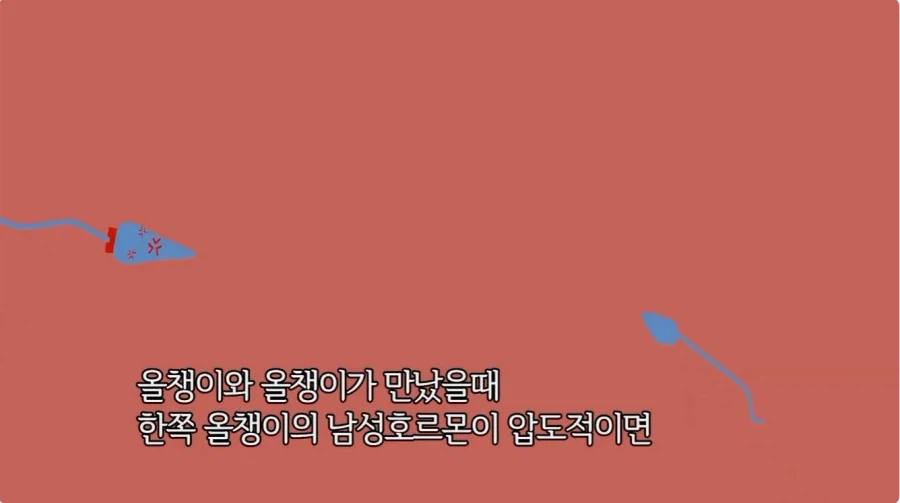 2차 창작 모호들이 환호할만한 세계관_3.webp