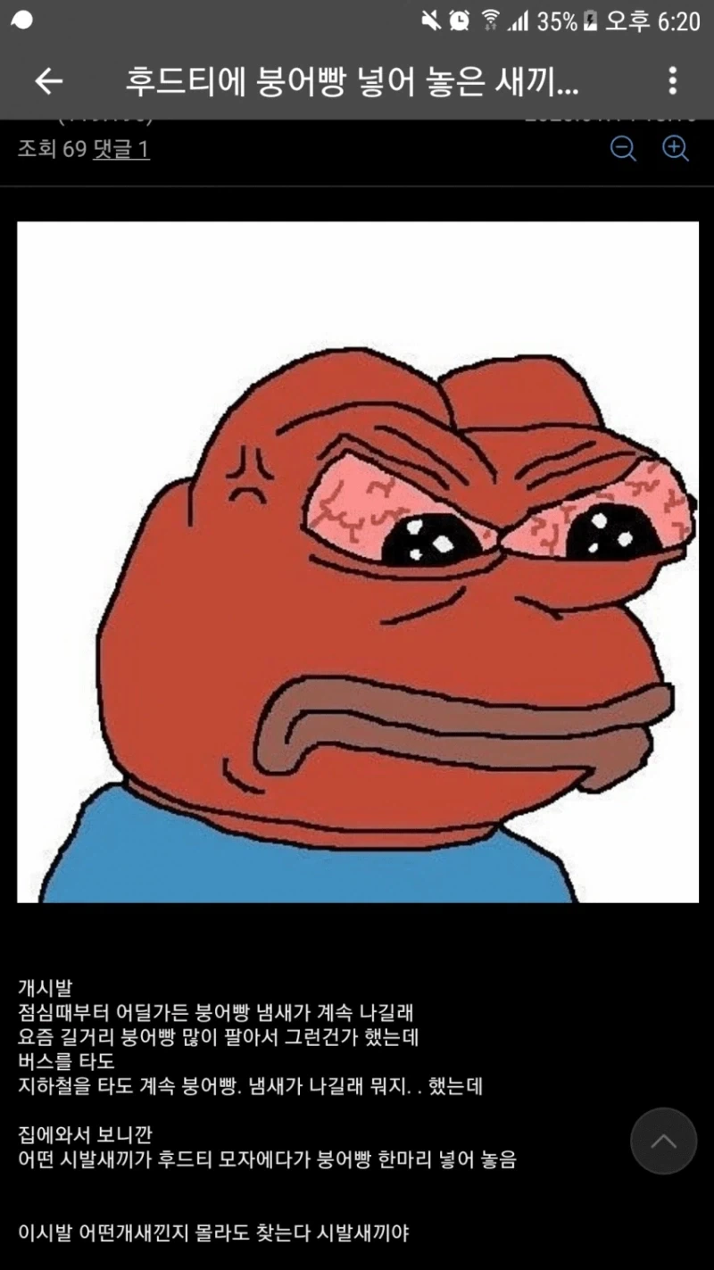 후드티에 붕어빵 넣은 색히_1.webp