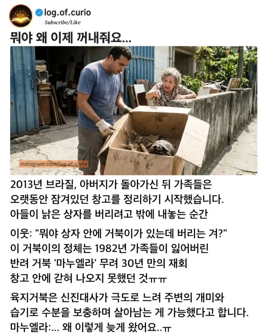 30년 만에 발견한 반려거북_1.webp