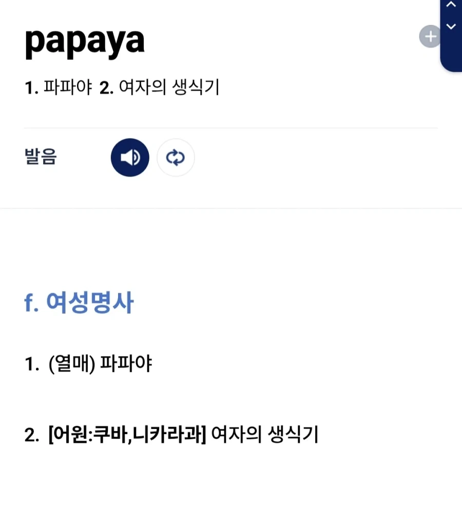 파파야의 숨은 뜻_1.webp