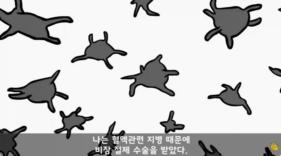 병무청 특_1.webp