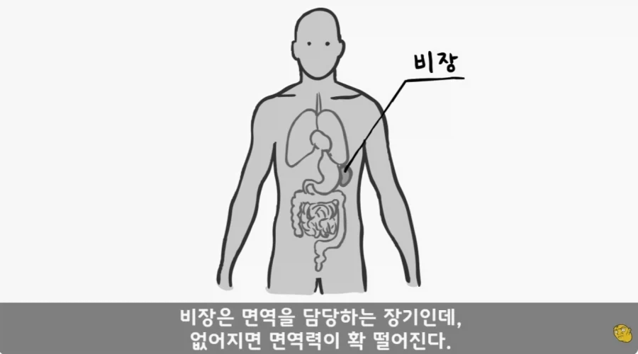 병무청 특_2.webp