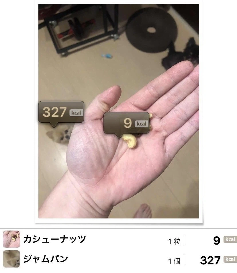 음식 칼로리 알려준다는 어플.jpg_1.webp