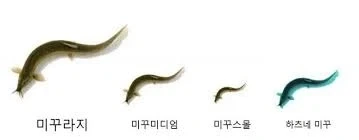미꾸시리즈_1.webp
