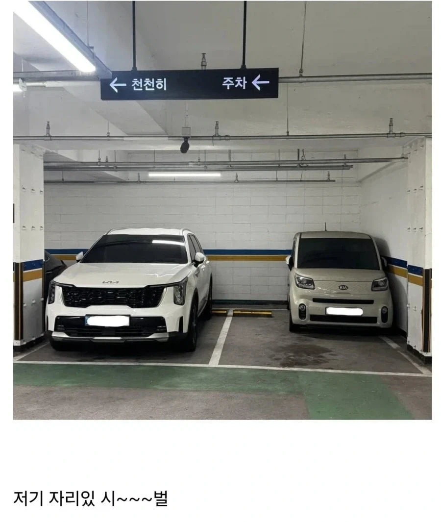 경차 운전자만 주차장에서 할 수 있는 일_1.webp
