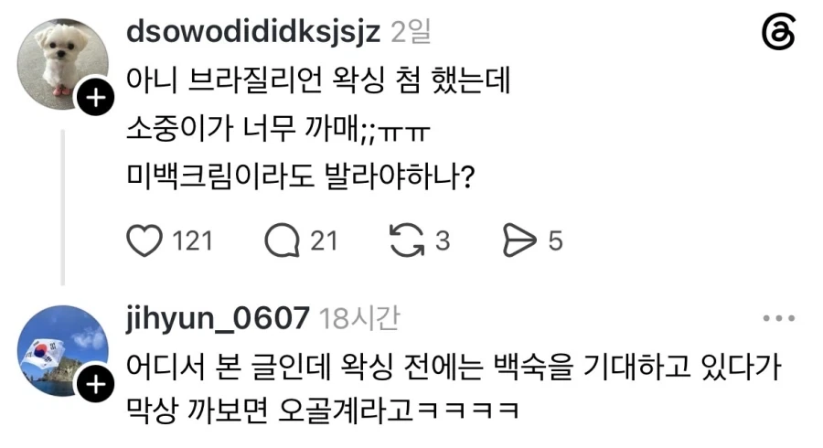 브라질리언 왁싱 기대와 현실.jpg_1.webp