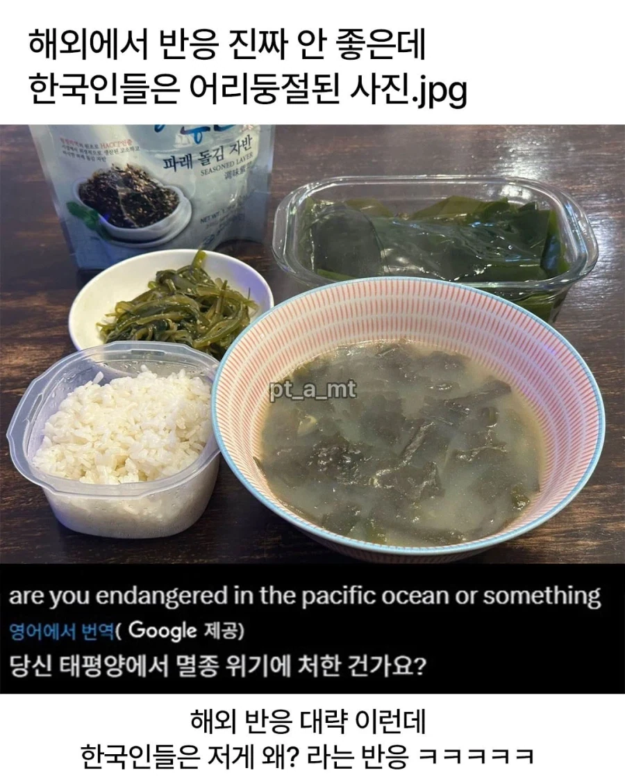 해외에서는 반응이 별루인 밥상_1.webp