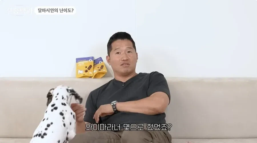 개통령 강형욱도 키우지 말라고 하는 개_2.webp