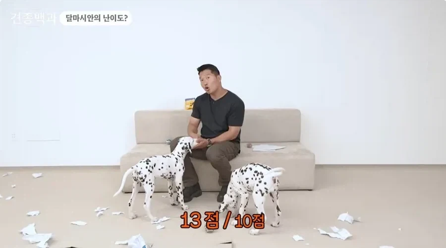 개통령 강형욱도 키우지 말라고 하는 개_5.webp
