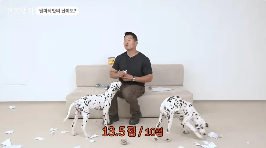 개통령 강형욱도 키우지 말라고 하는 개_6.webp