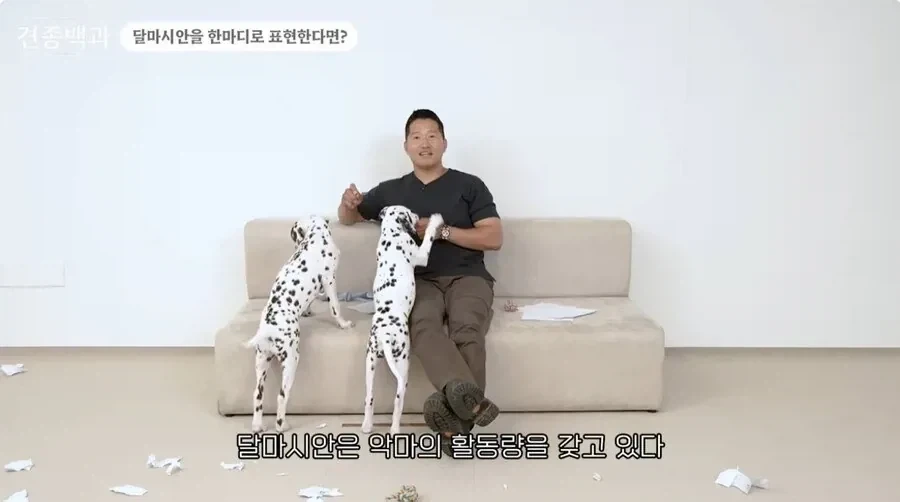개통령 강형욱도 키우지 말라고 하는 개_18.webp