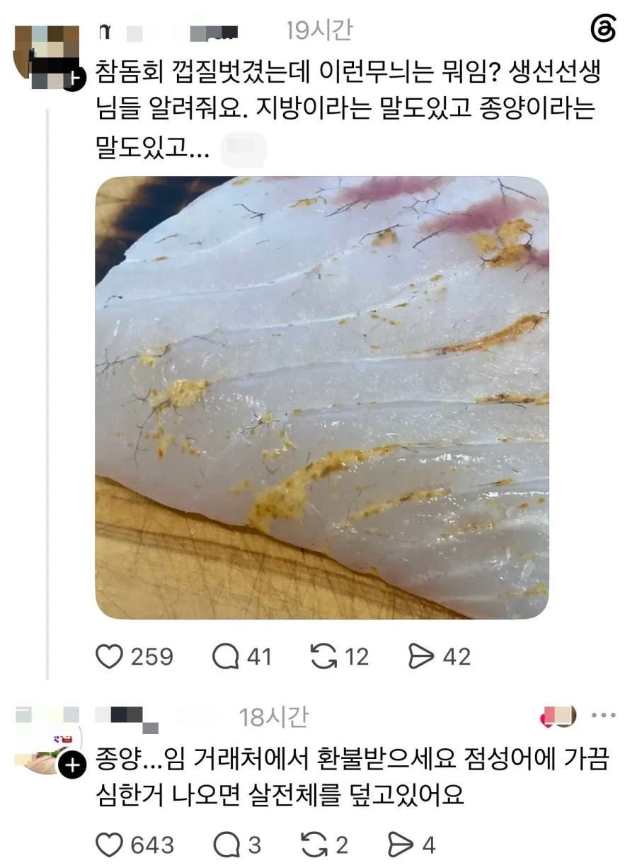 먹으면 안되는 참돔회._1.webp